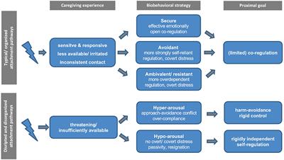 Conceptual Analysis: A Social Neuroscience Approach to Interpersonal Interaction in the Context of Disruption and Disorganization of Attachment (NAMDA)